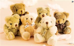 Teddy Bears